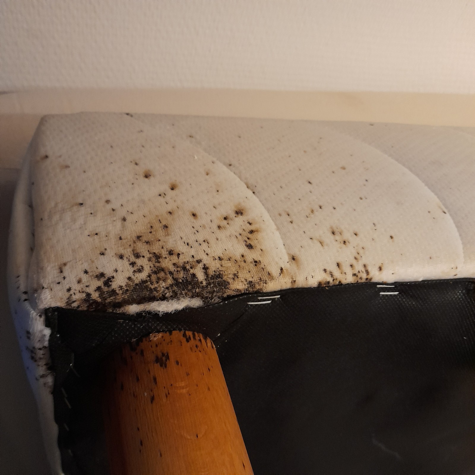 Société spécialisée en nettoyage après suicide : intervention rapide en toute discrétion à Carcassonne (11)