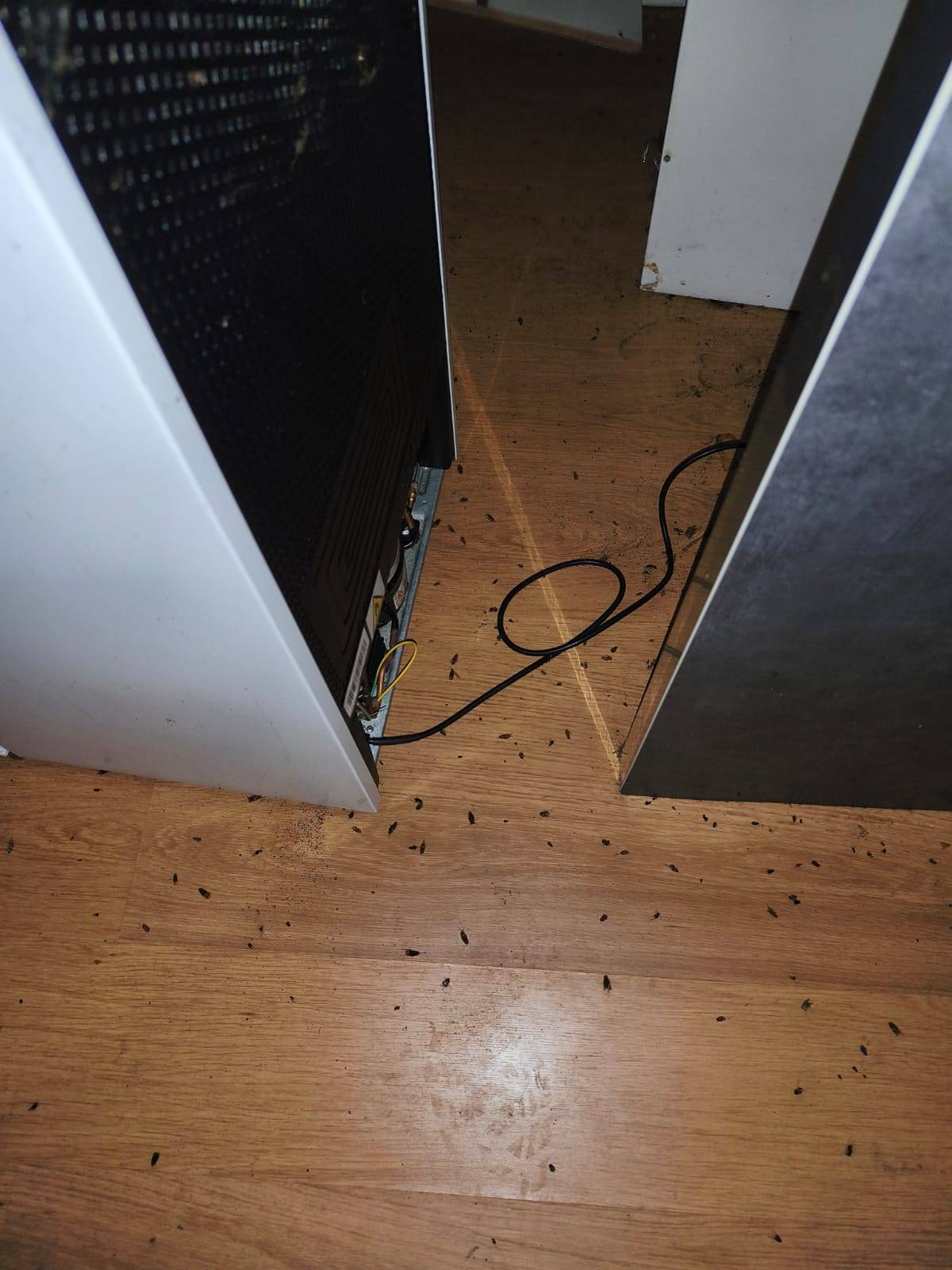 Entreprise de nettoyage extrême : décès, suicides, homocides, insalubrité, syndrome de diogène près Quillan (11)