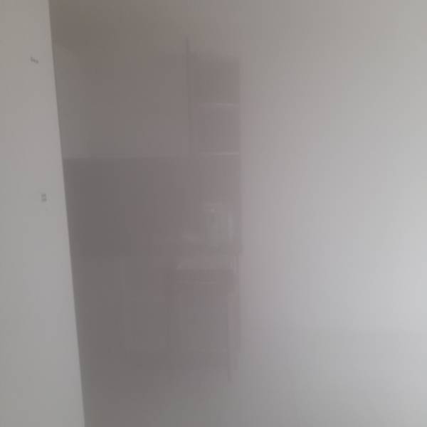 Nébulisation puce Limoux