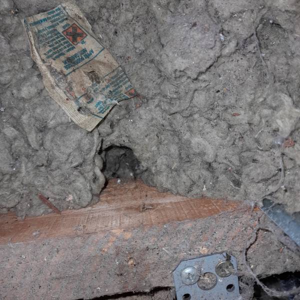 dératisation dans un comble de maison on voit les passage dans isolation 