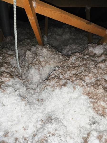 Dératisation maison à Narbonne