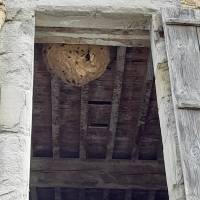 Nos prestations sur le secteur de à Carcassonne (11)