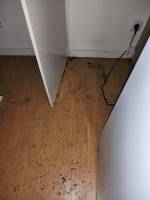 Notre zone d'activité pour ce service Professionnel en désinsectisation (cafards, guêpes, punaises de lit, fourmis...)