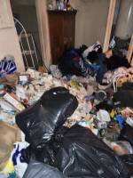 Notre zone d'activité pour ce service Se débarrasser des rats efficacement grâce à un dératiseur professionnel