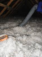 Nos prestations sur le secteur de près Quillan (11)