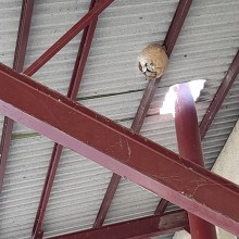 Notre zone d'activité pour ce service Entreprise de nettoyage extrême : décès, suicides, homocides, insalubrité, syndrome de diogène