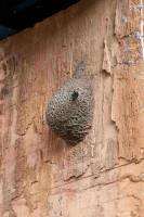 Nos prestations sur le secteur de près Quillan (11)